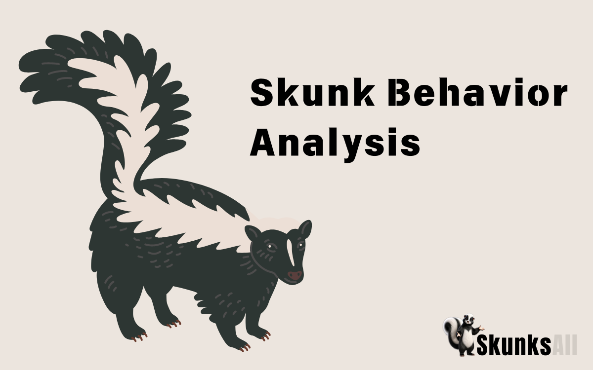 Skunk Behavior Analysis