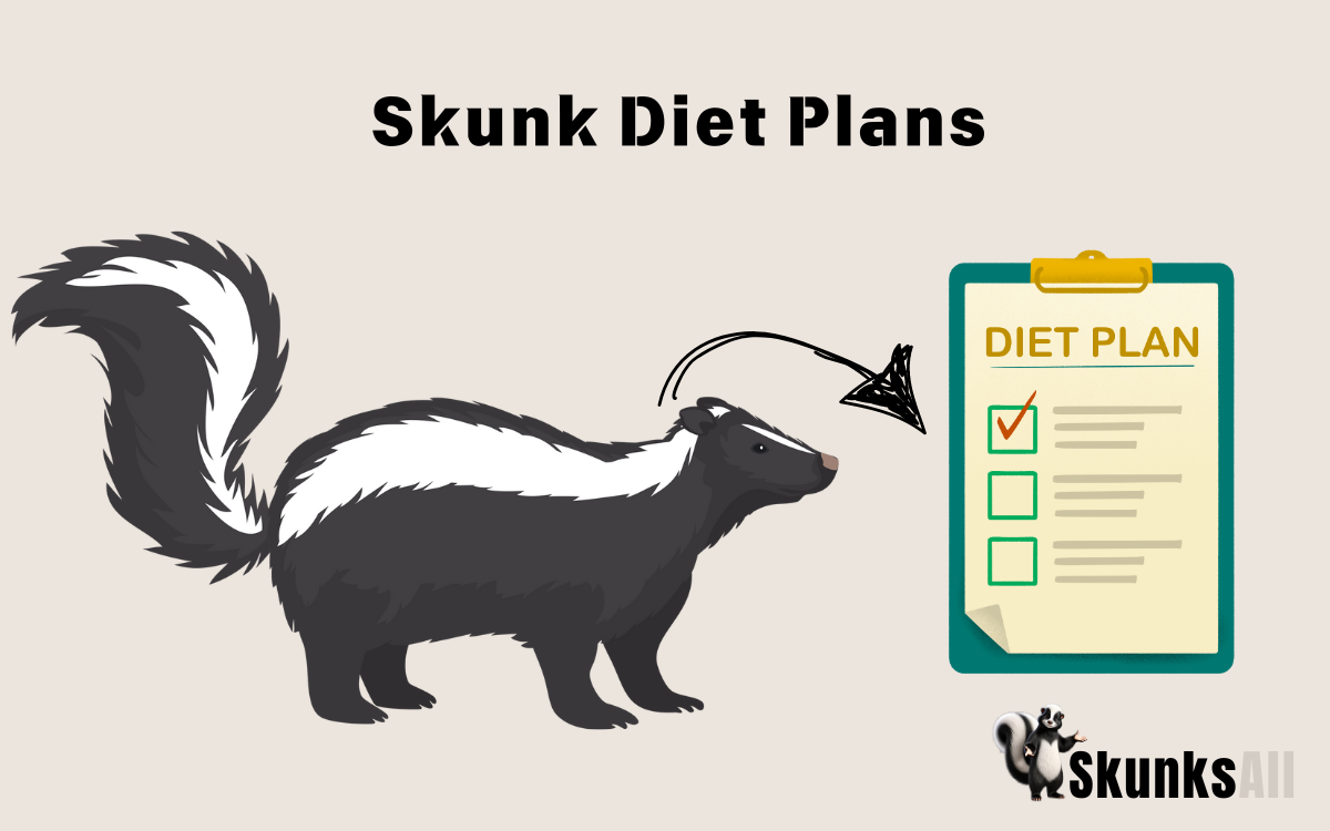 Skunk Diet Plans