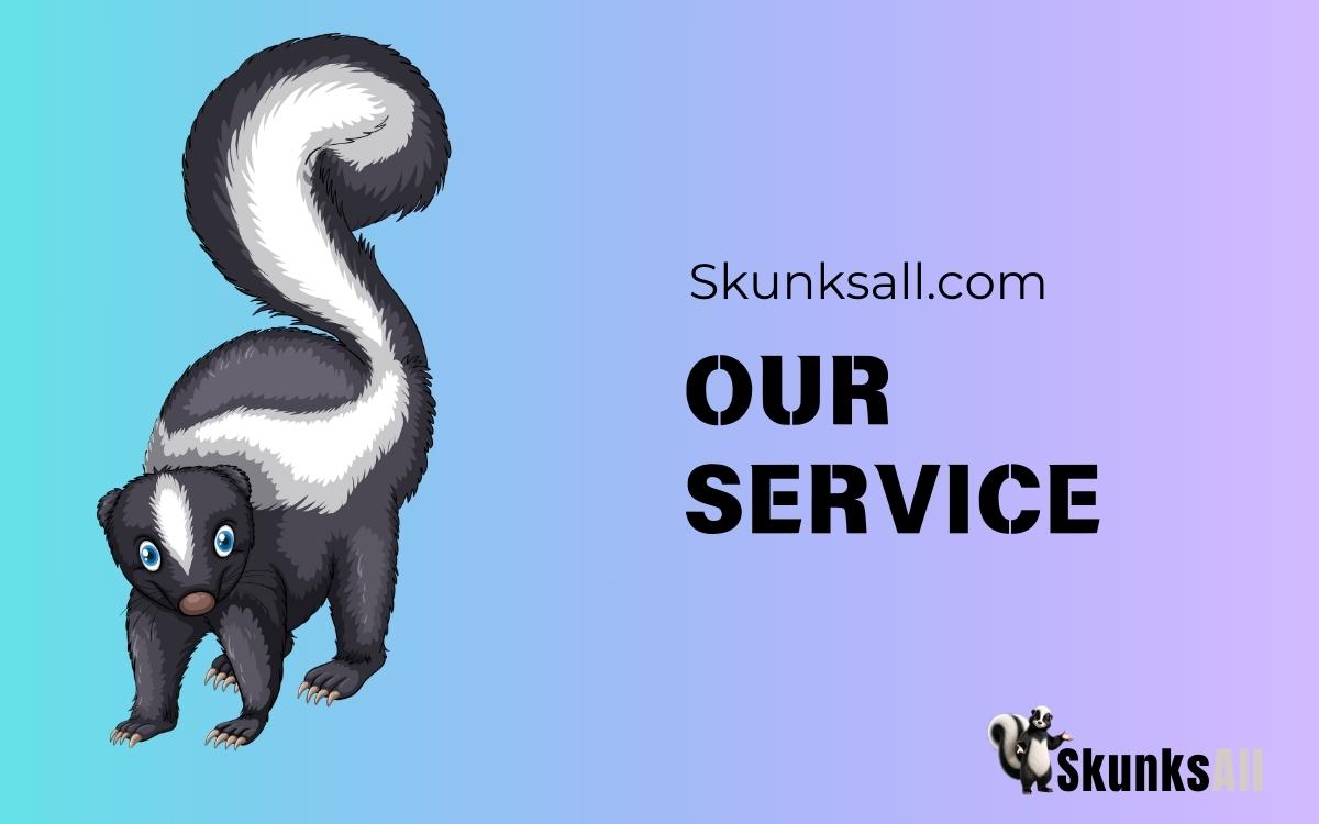 Skunksall Service